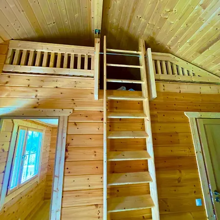 Scandinave 89 * Bourbourg